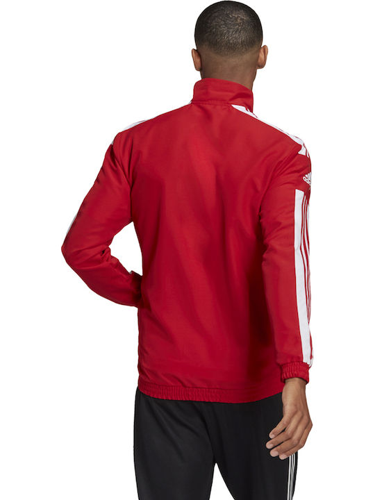 adidas adidas