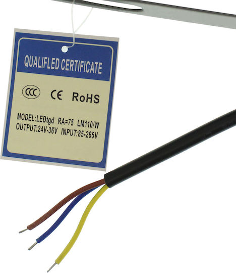 Στεγανός Προβολέας LED 100W Ψυχρό Λευκό 6000K IP66