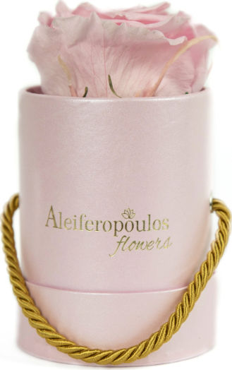 Παντοτινό Τριαντάφυλλο Ροζ σε Κουτί Aleiferopoulos Flowers