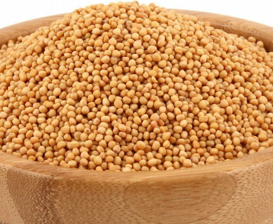 Mpagatzounis Senfsaat Gelb 1000gr