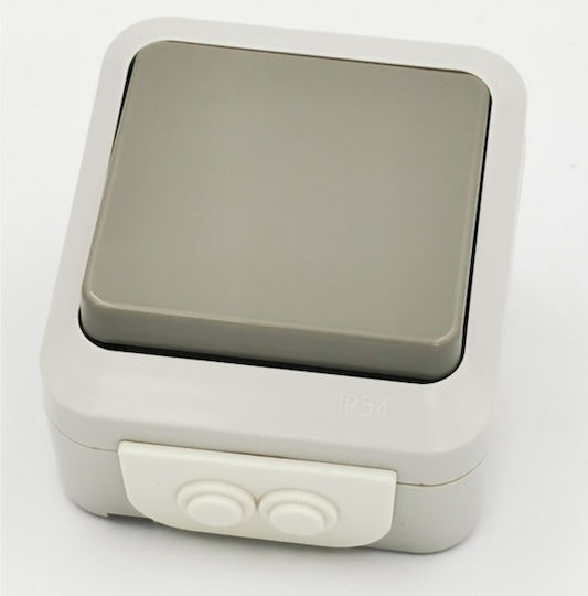 Bassiakos Waterproof Wall-Mounted Single Switch with Gray Frame