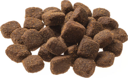 Natural Taste 12kg Dry Food Grain-Free for Adult Dogs with Buffalo and Deer