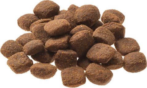 Granata Pet Foods Natural Taste 12kg Trockenfutter ohne Getreide für erwachsene Hunde mit Ente und Forelle