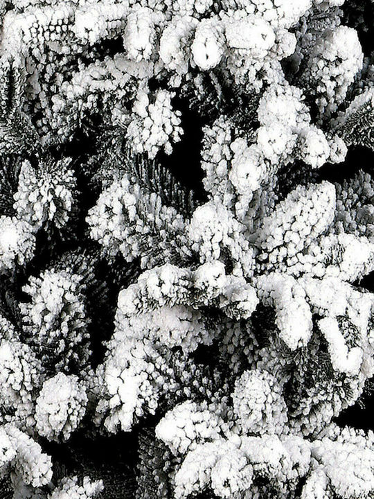 Christmas Tree Manxatan Snowy 180cm with 1244 Branches