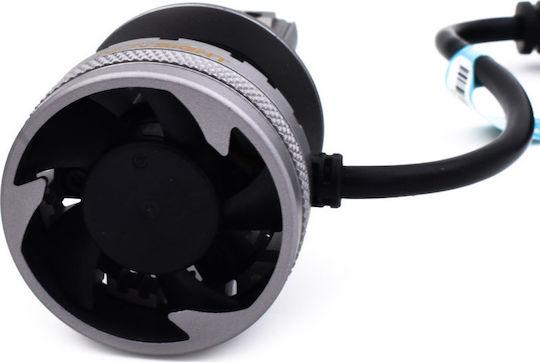 NovSight Lamps Car & Motorcycle H7 LED 6500K Cold White 32V 120W 2pcs