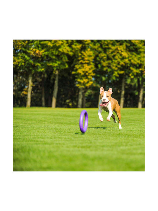 Puller Frisbee Hundespielzeug Mittel 28cm Lila 2Stücke