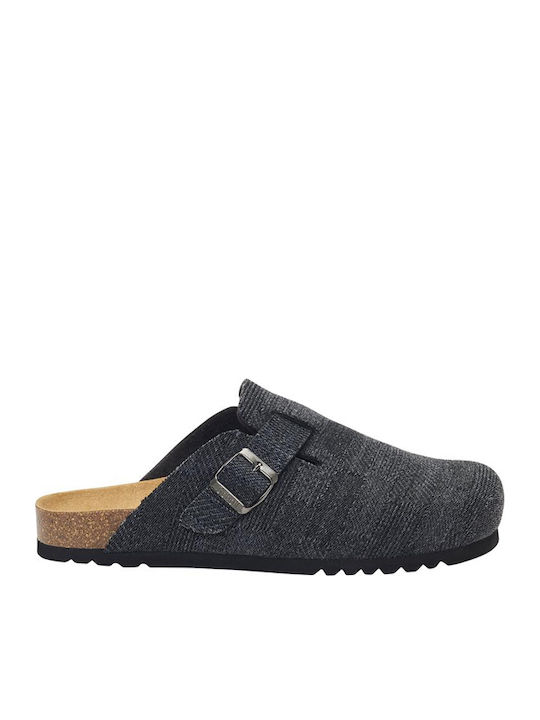 Scholl