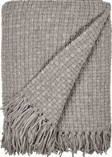 Kentia Palmer Kentia Palmer