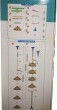 TnS Corner Wall Mounted Bathroom Shelf Plastic with 4 Shelves 33x24x100cm White