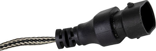 GloboStar Lampen Auto C6 H10 Canbus LED 6000K Kaltes Weiß 8-48V 72W 2Stück