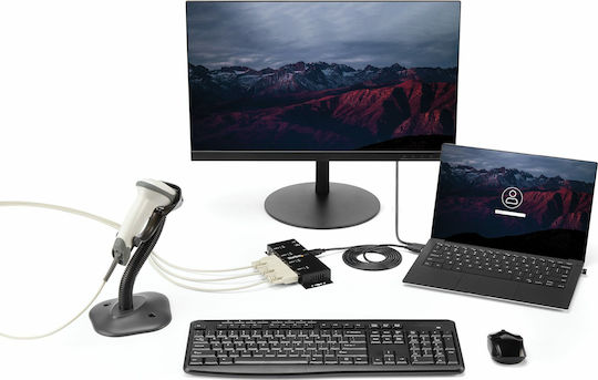 StarTech 4 Port USB to DB9 RS232 KVM & Datenumschalter ICUSB2324I