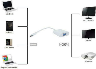 Powertech Μετατροπέας USB-C male σε VGA female White Λευκό (PTH-034)
