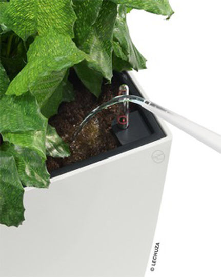 Lechuza Cararo Premium Self-watering Planter Box Plastic White 75x30x42.5cm.