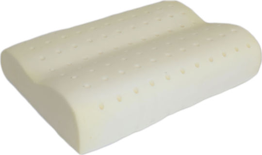 Idilka Perna Pat Latex Anatomic 45x65x10cm