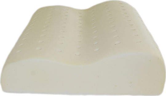 Idilka Perna Pat Latex Anatomic 45x65x10cm