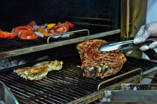 Biokan Φούρνος Holzkohle Roaster 96 ROASTER 96