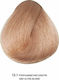 Bioshev Professional Hair Color Cream 12.1 Υπερ...