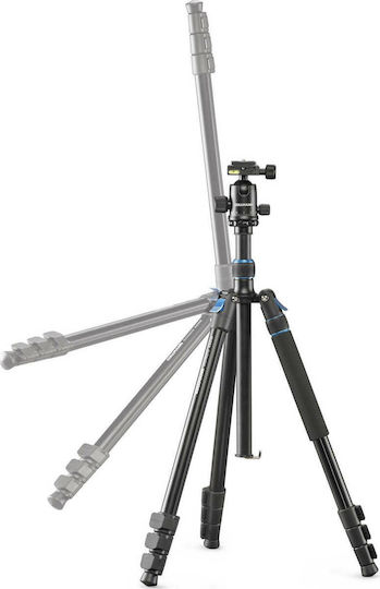 Cullmann Kamerastative Rondo 480M RB8.5 aus Aluminium mit Kugelförmiger Kopfart und Belastbarkeit 4kg