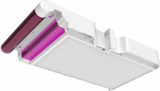 AgfaPhoto Cartridge & Paper Φωτογραφικό Χαρτί 54x86 για Εκτυπωτές Inkjet 30 Φύλλα