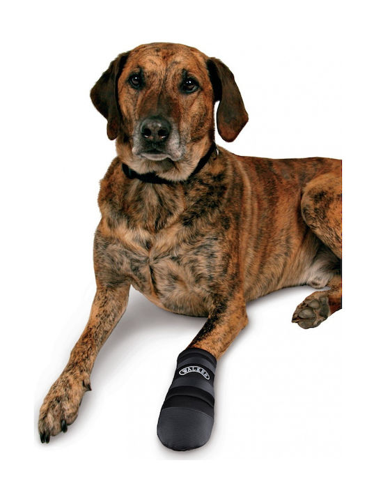 Trixie Safety Shoes Shoes Dog Medium Black in Black Color