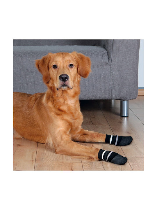 Trixie Socks Dog Medium/Large Socks in Black Color