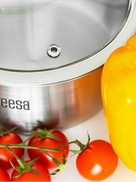 Teesa Cook Expert Master Σετ Κατσαρόλες από Ανοξείδωτο Ατσάλι Ασημί 3τμχ