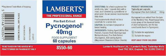 Lamberts Pycnogenol 40mg Ειδικό Συμπλήρωμα Διατροφής 60 κάψουλες