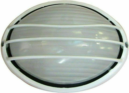 Evivak 2034S Χελώνα Evivak 2034S Χελώνα