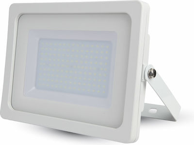 Eurolamp Rezistent la apă Proiector LED 20W Alb Rece 6500K IP65