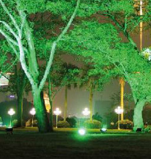 Aca Waterproof LED Floodlight 20W Green IP66