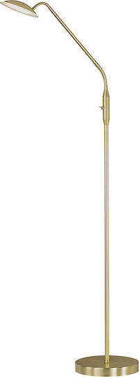 Wofi Orta Lampa de podea LED Î135xL23cm. cu Lumină Alb Cald 800lm Auriu