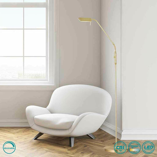 Wofi Cory Lampa de podea LED Î150xL27cm. cu Lumină Alb Cald 600lm Auriu