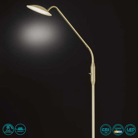 Wofi Orta Lampa de podea LED Î135xL23cm. cu Lumină Alb Cald 800lm Auriu