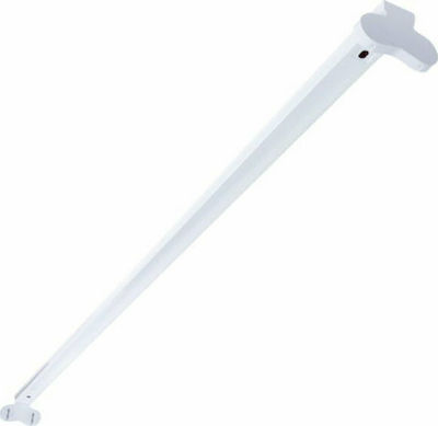 Eurolamp Lighting Batten T8 with 2 Slots for LED Bulbs 60cm