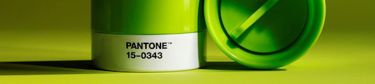 Pantone Lifestyle Κούπα από Πορσελάνη Πράσινη 375ml