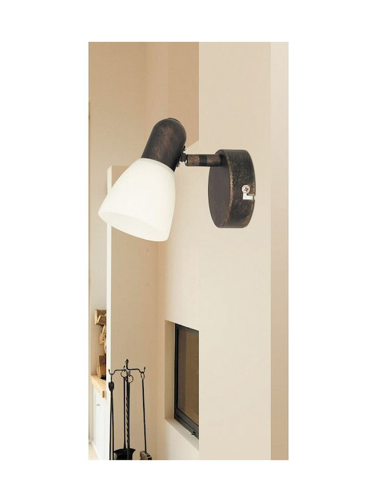 Rabalux Soma Einzel Spot mit Fassung E14 in Braun Farbe