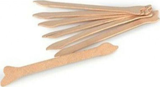 Bournas Medicals Test-Pap 100pcs Spatulas 100.008.IS