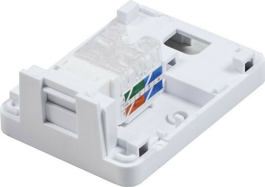 Central Μονή Εξωτερική Πρίζα Δικτύου RJ45 Τύπου Cat6 σε Λευκό Χρώμα 01-60-195