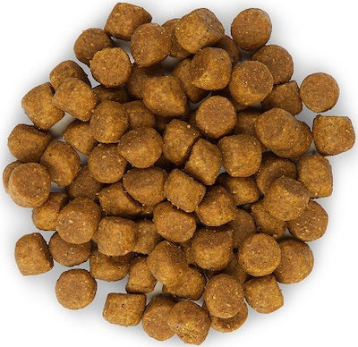 Hill's Science Plan Puppy <1 Medium 2.5kg Dry Food for Puppies of Medium Breeds with Lamb and Rice