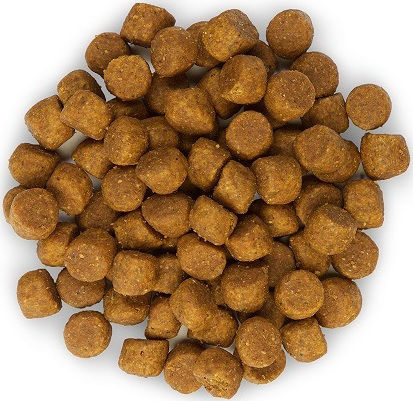 Hill's Science Plan Puppy <1 Medium 2.5kg Dry Food Gluten-Free for Medium Breed Puppies with Lamb and Rice