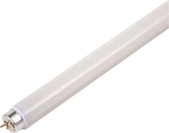 Eurolamp Λάμπα Φθορίου για Ντουί G13 με Σχήμα T8 30W