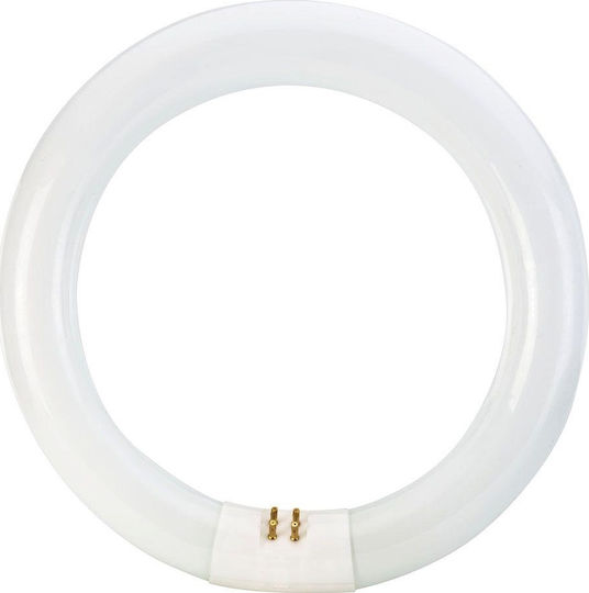 Fluorescent Circular Lamp T9 40W