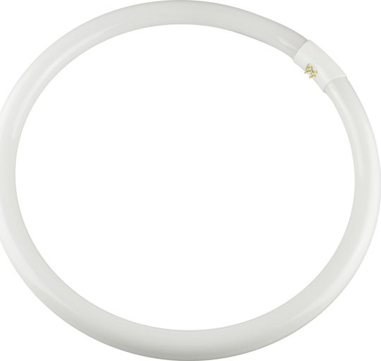 Fos me Fluorescent Lamp for G10Q Socket with T9 Shape 40W