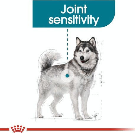 Royal Canin Joint Care Maxi 10kg Dry Food for Adult Large Breed Dogs with Rice