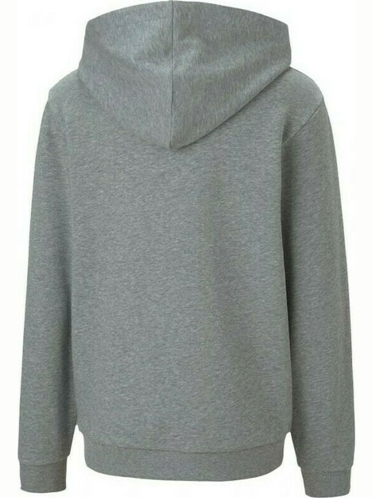 Puma Kids Sweatshirt with Hood and Pocket Gray