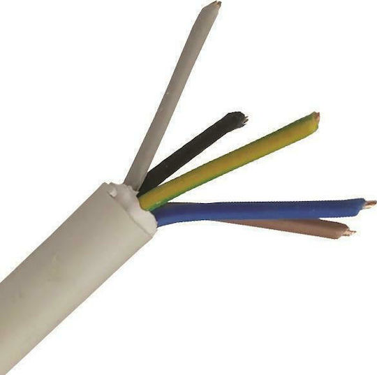 Eurolamp Power Cord with Diameter 5x4mm² in White Color 1m 1pcs