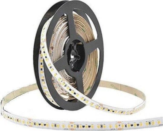 Cubalux Waterproof LED Strip 24V Warm White Light 5m Type SMD2835