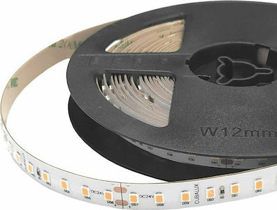 Cubalux Waterproof LED Strip Power Supply 24V with Pink Light Length 5m and 126 LEDs per Meter SMD5050