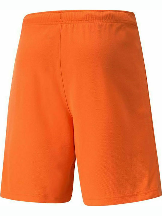 Puma Teamrise Men's Football Shorts