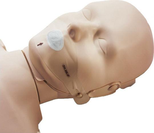 Prestan Medical Consumable 25pcs PP-CFS-25